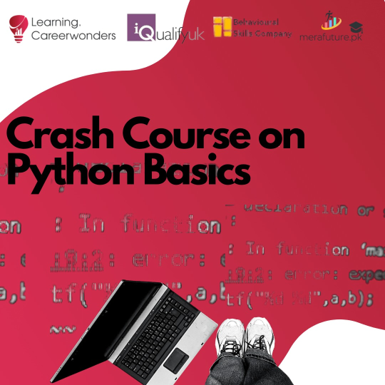 Crash Course on Python Basics